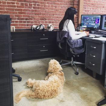 Kathy Bates working at P+A with her cat Phoebe and the resident studio dog.
