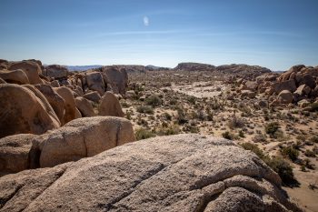 The rocky landscape. Photo by Colin Frazer.
